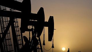 La producción de petróleo de la OPEP aumenta en junio por la recuperación de la demanda, según un estudio