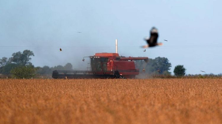 GRANOS-Futuros del maíz y la soja en EEUU suben a máximos desde mediados de junio