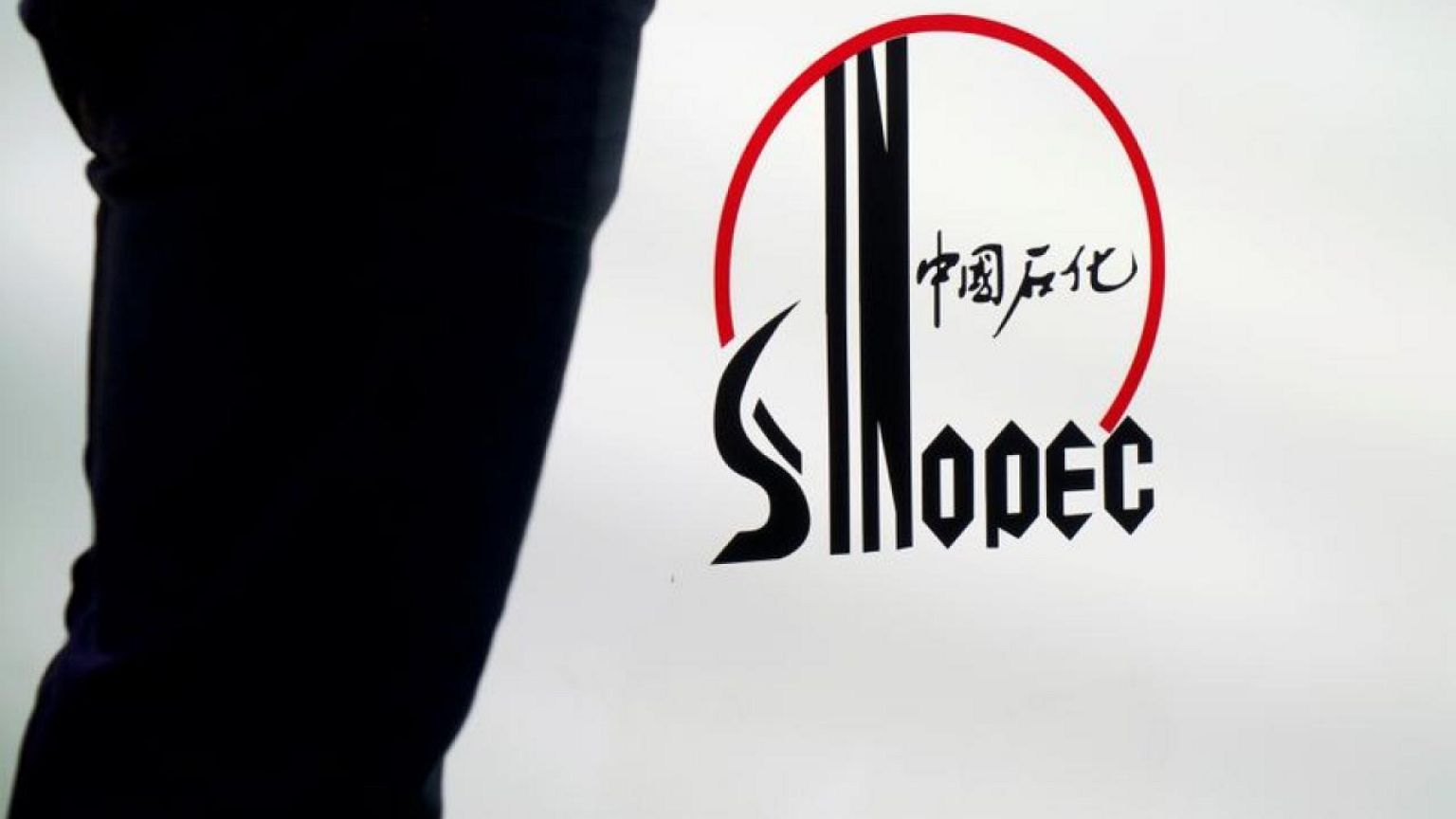 Sinopec starts building carbon-capture project in east China