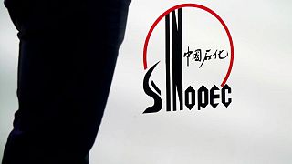 Sinopec starts building carbon-capture project in east China