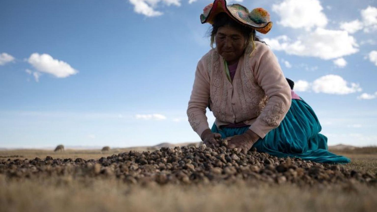 Peru's indigenous hope for a voice, at last, under new president