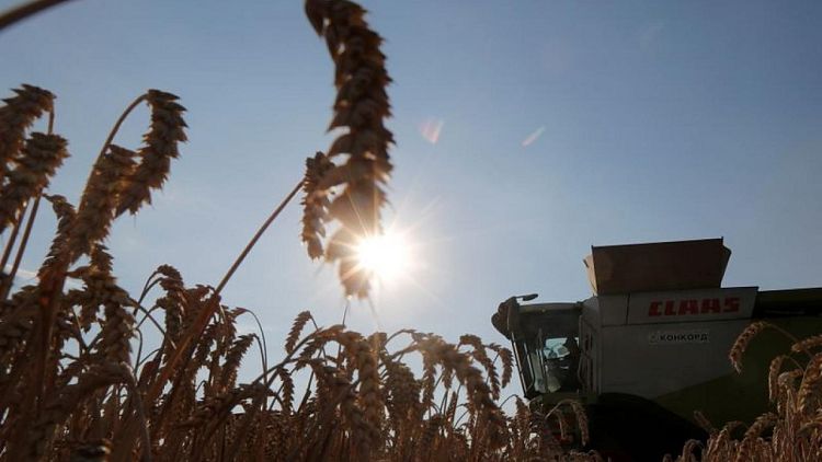 Exportaciones granos Ucrania suben 13,7% en lo que va de campaña 2021/22 a 9,1 millones toneladas