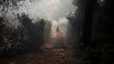 Analysis-Europe's carbon push stokes backlash fears Analysis-Europe's carbon push stokes backlash fears