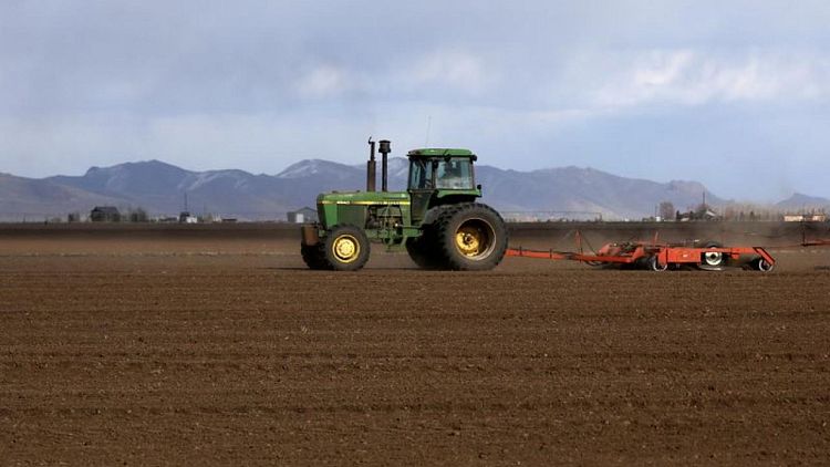 "Marchitarse y morir": ola de calor en noroeste de EEUU arrasa cultivos de trigo y frutales