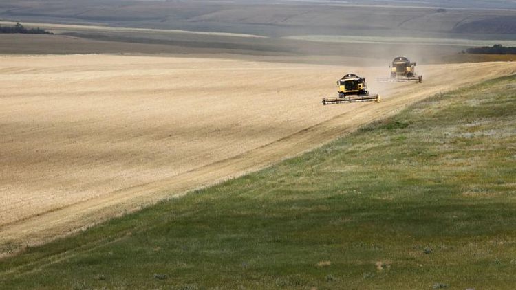 Sovecon recorta su previsión para la cosecha de trigo de Rusia en 2021