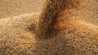 GRANOS-Soja cae por mejores perspectivas de cultivos