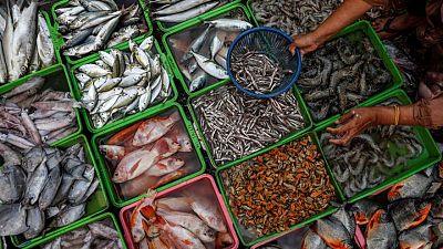 WTO seeks to land big prize after 20 years of fish talks WTO seeks to land big prize after 20 years of fish talks