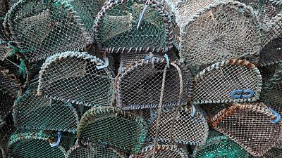 UK fisheries sold out in Brexit deal, industry body says UK fisheries sold out in Brexit deal, industry body says