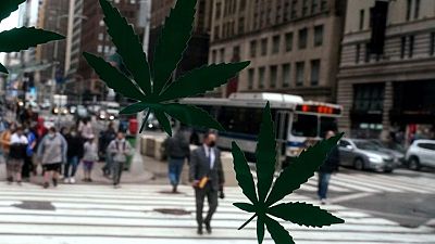 Demócratas de EEUU presentan un proyecto de ley para legalizar la marihuana