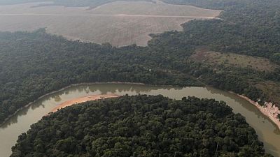 Más de 10.000 especies están en peligro de extinción en la Amazonia, según un enorme estudio Más de 10.000 especies están en peligro de extinción en la Amazonia, según un enorme estudio
