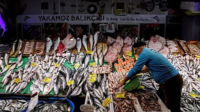 Explainer-What's at stake in WTO talks on fishing rules? Explainer-What's at stake in WTO talks on fishing rules?