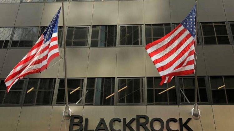 BlackRock: Lack of diversity, independence drove critical board votes