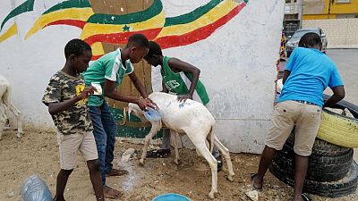 Senegal's COVID-19 surge forces difficult Eid al-Adha decisions Senegal's COVID-19 surge forces difficult Eid al-Adha decisions