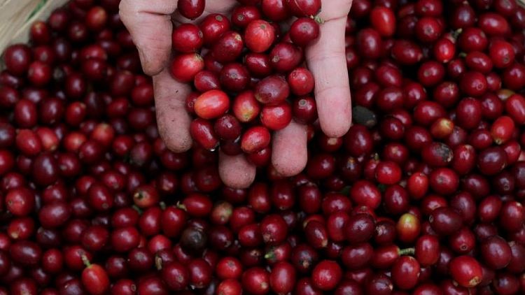 Los cultivos de café, caña y naranjas peligran por las bajas temperaturas en Brasil
