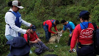 Colombian children learn to identify landmines buried during country's civil war Colombian children learn to identify landmines buried during country's civil war