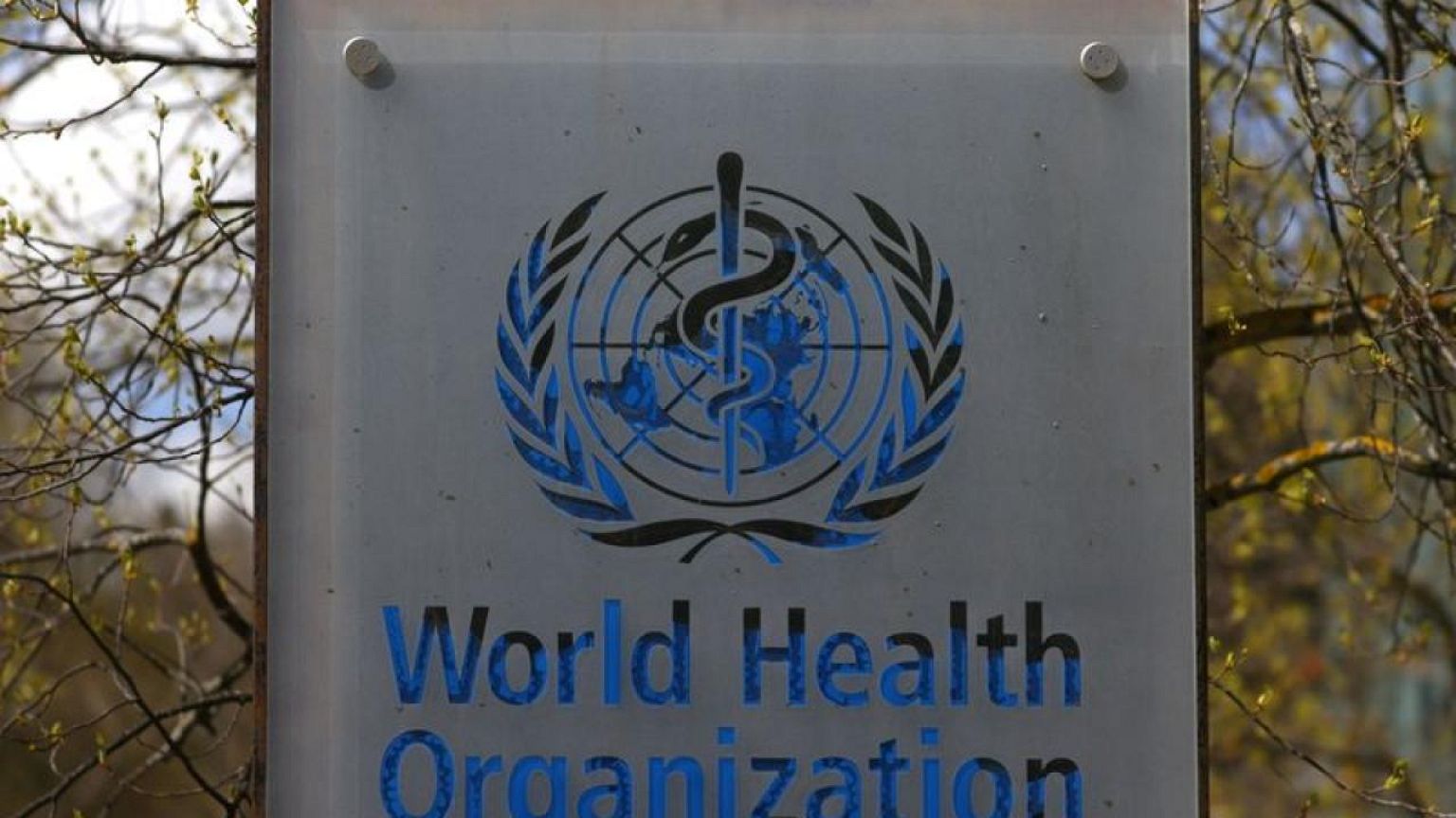 China rejects WHO plan for study of COVID-19 origin