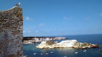 'Eccellente' il 99,9% delle acque, poi Sardegna e Toscana(98,5%) 'Eccellente' il 99,9% delle acque, poi Sardegna e Toscana(98,5%)