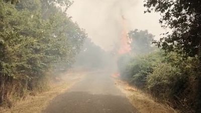 Incendio anche a Cabras, abitazioni lambite dal fuoco Incendio anche a Cabras, abitazioni lambite dal fuoco