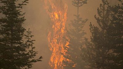 La sombra causada por humo de incendios forestales ayuda a bomberos a combatir el mayor foco de EEUU La sombra causada por humo de incendios forestales ayuda a bomberos a combatir el mayor foco de EEUU