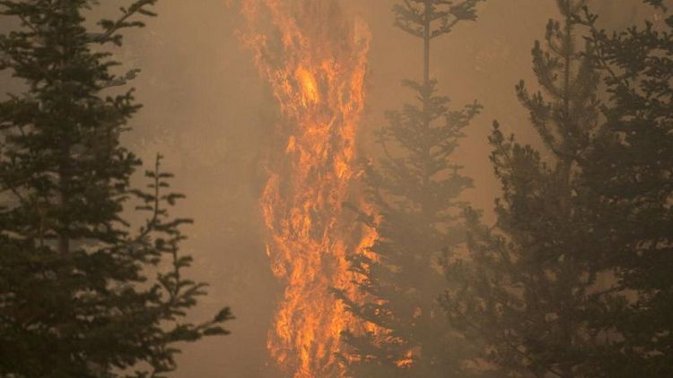 La sombra causada por humo de incendios forestales ayuda a bomberos a combatir el mayor foco de EEUU