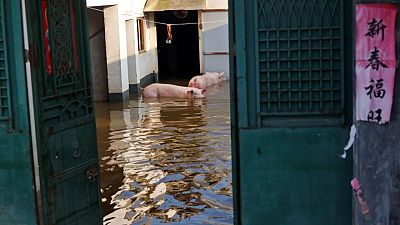 'The sky has fallen': Chinese farmers see livelihoods washed away by floods 'The sky has fallen': Chinese farmers see livelihoods washed away by floods