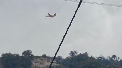Preoccupa nuovamente il fronte del fuoco a Santu Lussurgiu Preoccupa nuovamente il fronte del fuoco a Santu Lussurgiu
