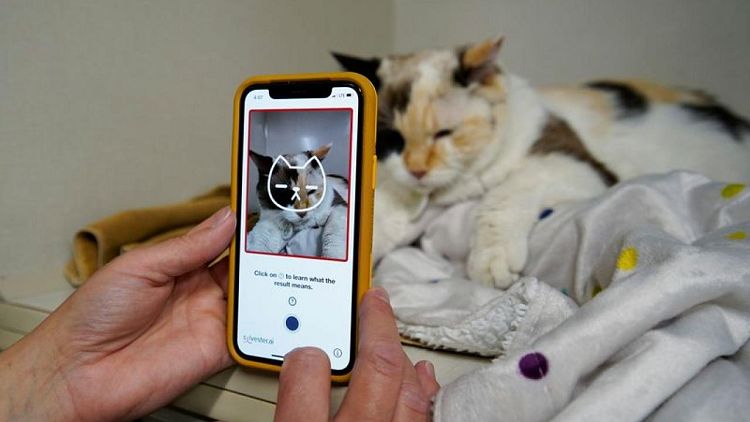 Feline okay? The app that tells you if your cat's happy