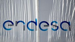 Endesa prevé unas inversiones brutas hasta 2030 de 31.000 millones de euros Endesa prevé unas inversiones brutas hasta 2030 de 31.000 millones de euros