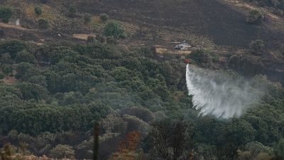 Fuoco anche a Bottida nel Sassarese, fiamme vicino alle case Fuoco anche a Bottida nel Sassarese, fiamme vicino alle case