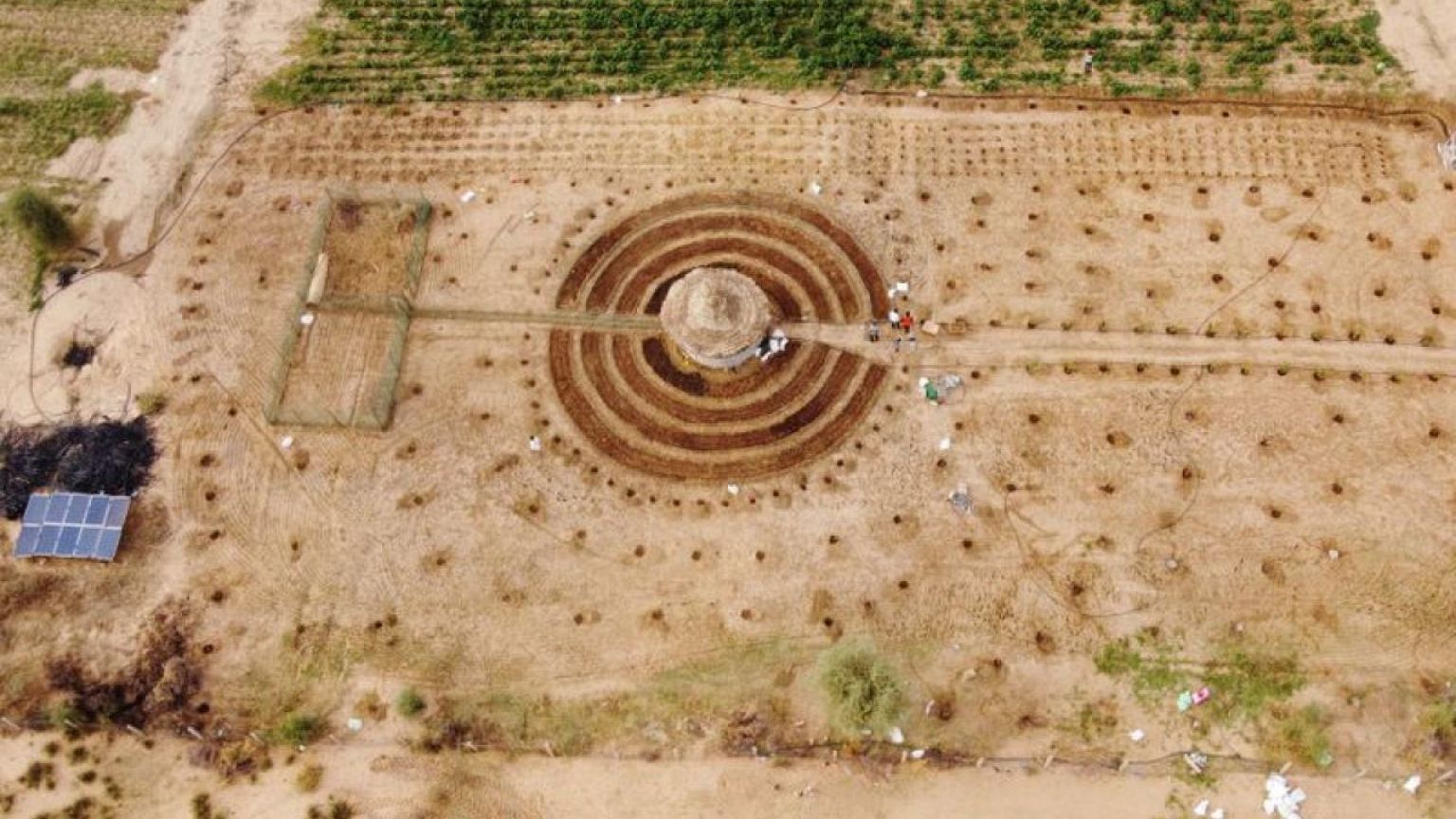 Senegalese plant circular gardens in Green Wall defence against desert