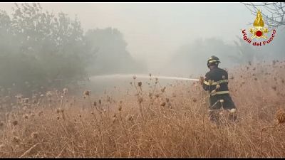 Scoppia un vasto incendio anche a Sagama Scoppia un vasto incendio anche a Sagama