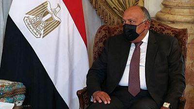 وزير خارجية مصر يعرب عن دعم بلاده لرئيس تونس وتضامنها معه