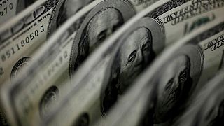 Dollar holds near one-year high amid bets for earlier Fed rate hike