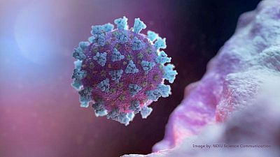 Francia detecta ocho posibles casos de variante ómicron