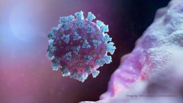 Francia detecta ocho posibles casos de variante ómicron