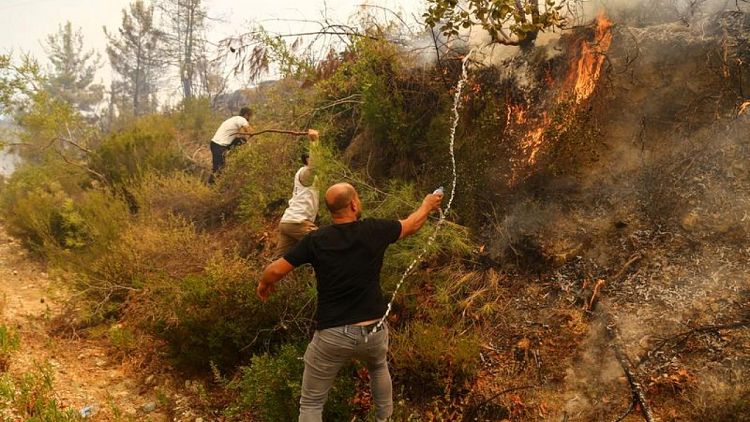 Some wildfires rage on in Turkey, although most have been contained