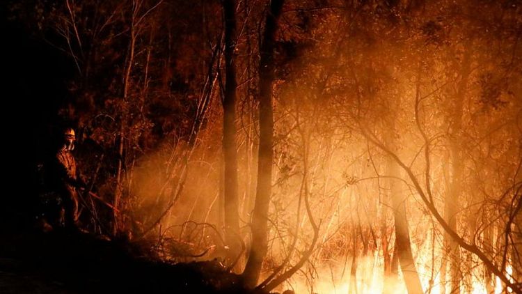 حرائق الغابات تشتعل قرب منطقة صناعية في أثينا وتعطل القطارات