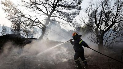 Greeks urged to be on alert as extreme weather fuels wildfires