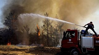 Mediterranean has become a 'wildfire hotspot', EU scientists say