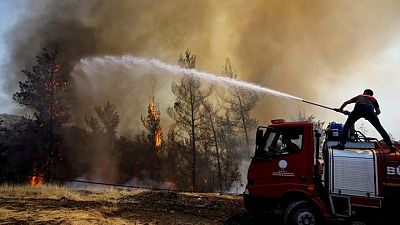 Mediterranean has become a 'wildfire hotspot', EU scientists say