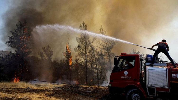 إخماد حريق بمحطة كهرباء تركية مع استمرار حرائق الغابات