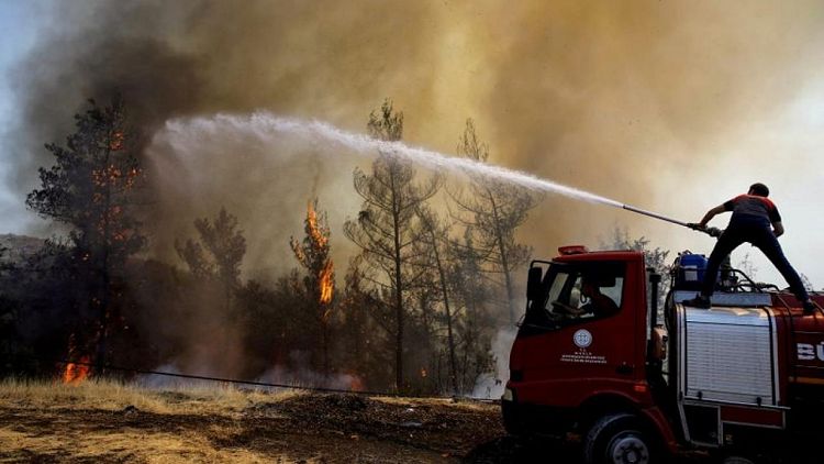 حرائق الغابات تقترب من محطة كهرباء في تركيا مع اشتعال النيران لليوم العاشر