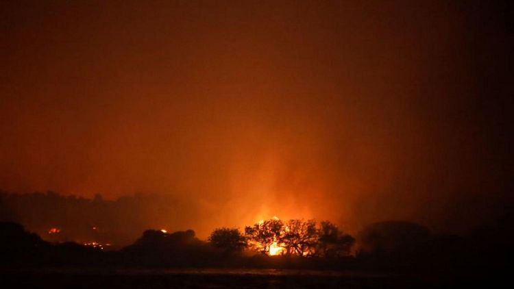 Turkish blaze approaches power plant as wildfires enter 10th day