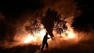 الآلاف يفرون من جزيرة إيفيا اليونانية في اليوم السادس من حرائق الغابات