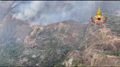 Volontari e mezzi da altre regioni. 8 interventi per Canadair Volontari e mezzi da altre regioni. 8 interventi per Canadair
