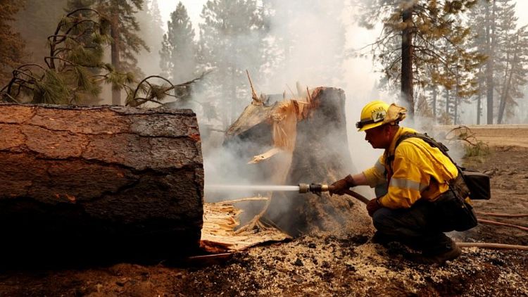 حريق ديكسي يستعر ويصبح ثاني أكبر حريق في تاريخ كاليفورنيا