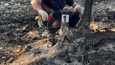 Bruciati quasi dieci ettari di superficie in gran parte boscata
