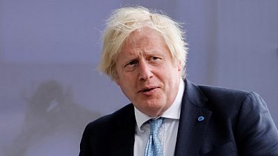 Doomed alpaca triggers outcry against British PM Johnson Doomed alpaca triggers outcry against British PM Johnson