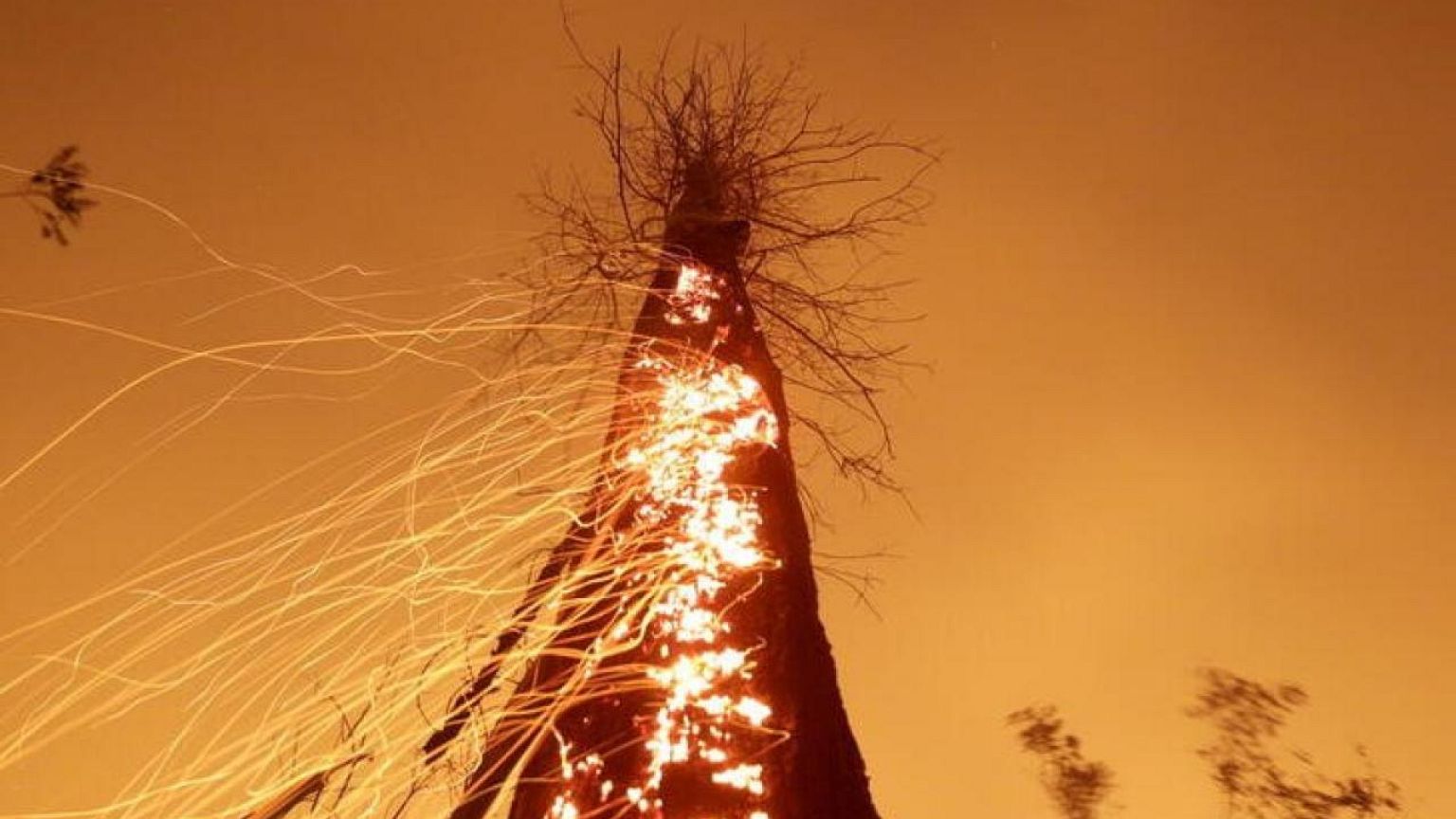 ONU hace sonar una alarma "ensordecedora" sobre el calentamiento global