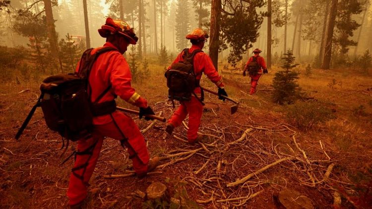 ثاني أكبر حريق غابات في تاريخ كاليفورنيا يلتهم نحو نصف مليون فدان